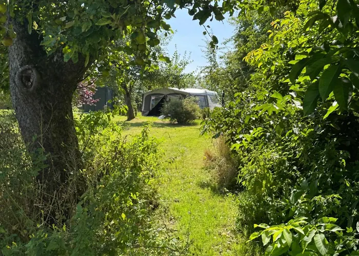 营地 Relaxing Im Garten 韦特林根