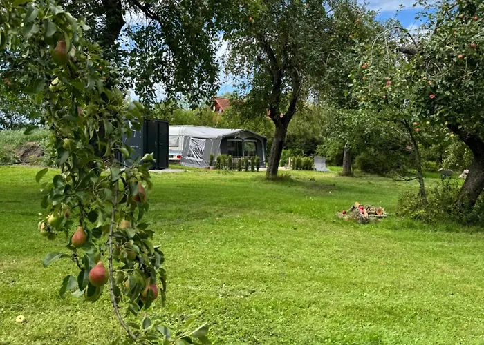 Relaxing Im Garten אתר קמפינג Wettringen (Bavaria)